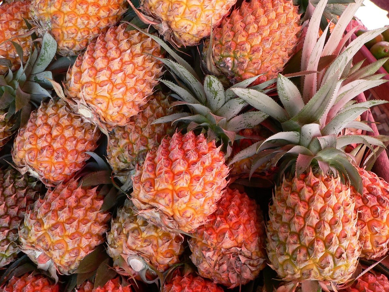 Ananas Victoria de La Réunion