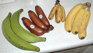 Bananes péi mûres